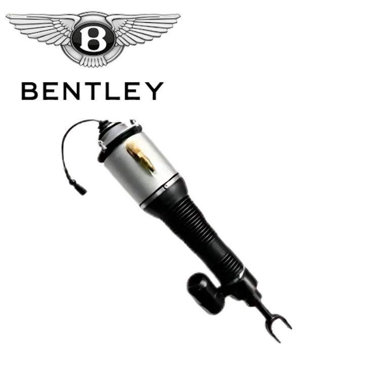 used struts